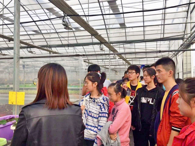 图3 参观绿植.jpg