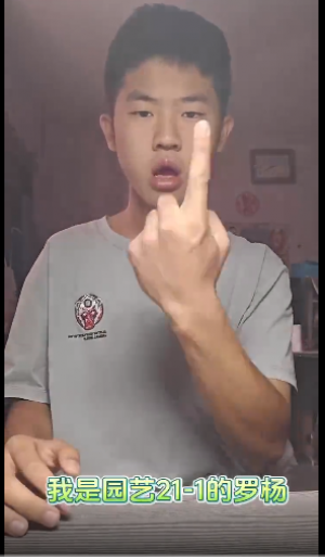 6.png