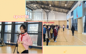 1763427020449251pB9E.png 2.png