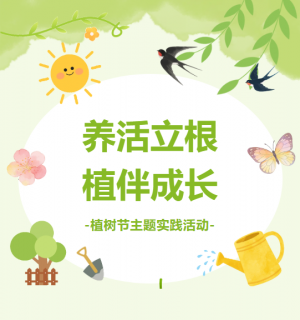 177339032026176247A8.png 1.png