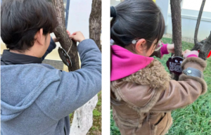 17733903395892778EB5.png 3.png