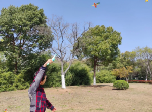 17756151224956408109.png 6.png